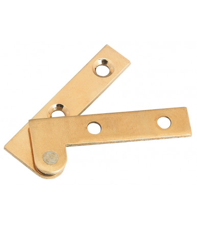 Pair of arm hinges with visible joint in brass 50mm x 10mm