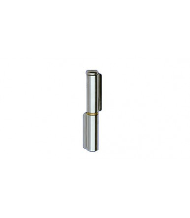 Aldeghi Welding hinges with 2 wings, stainless 
