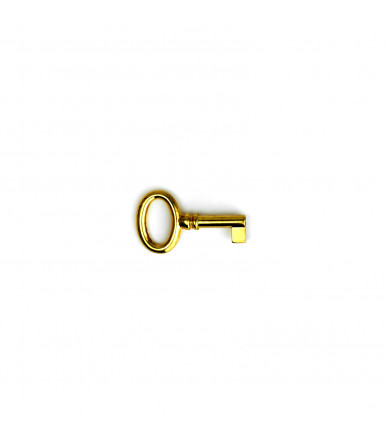 Fixed universal key 62 mm for cabinet and furniture lock gold color