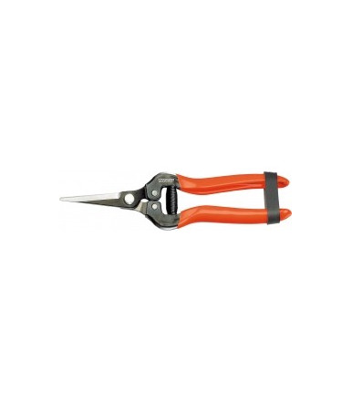 Special scissors for harvest 19 cm Stocker 