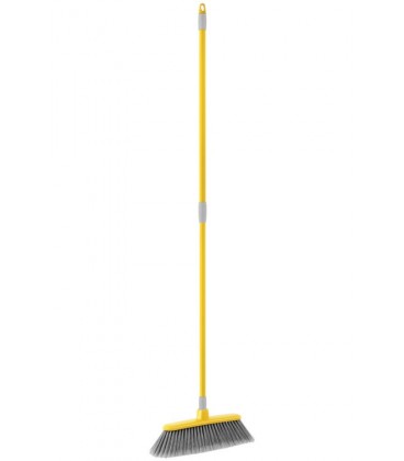 Classic Broom with Telescopic handle